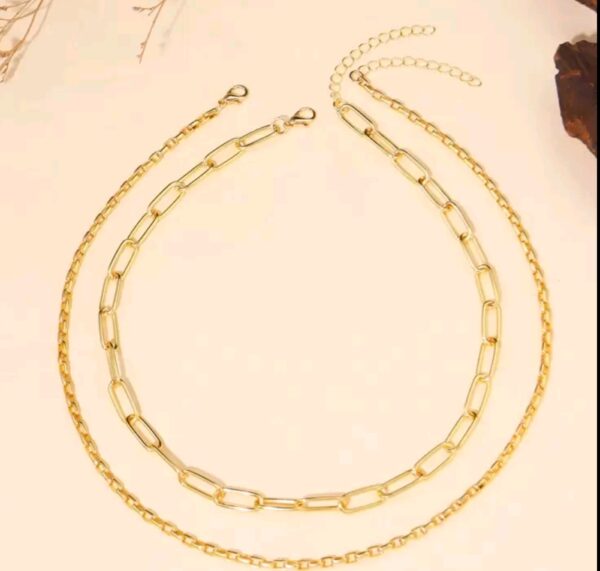 Mixed Double Layered Necklace - Image 4