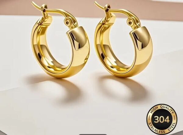 18k Gold Plated Hoop Earings